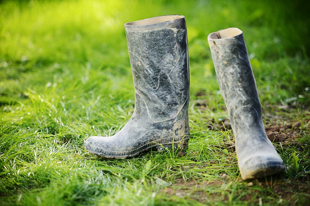 farm boots - CITA membership